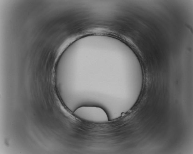 X0000103961421200809191324