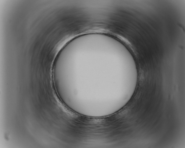 X0000103961423200809191324