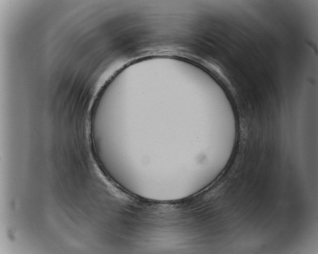 X0000103961424200809191324
