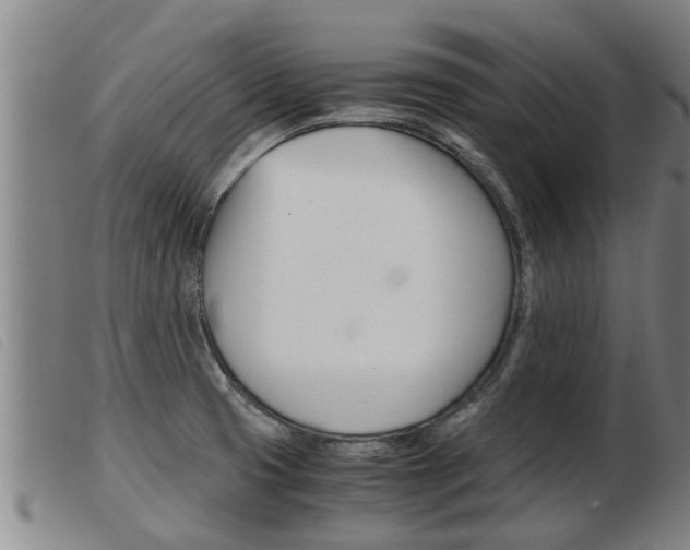 X0000103961425200809191324
