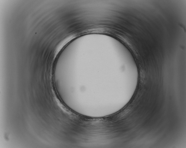 X0000103961426200809191324
