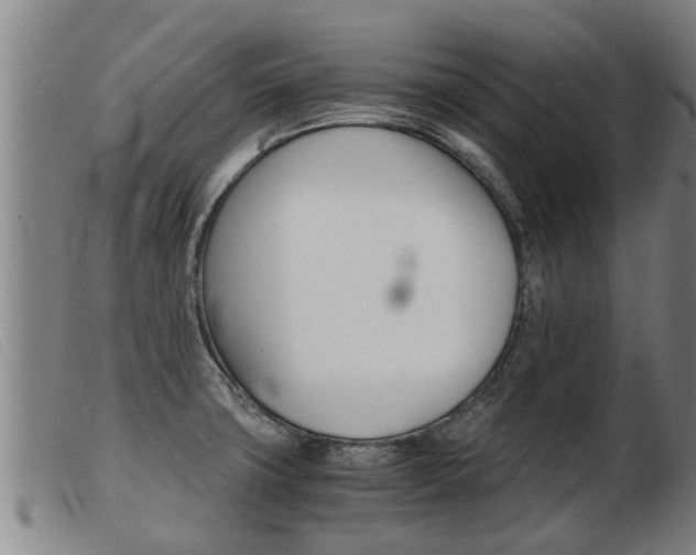 X0000103961427200809191324