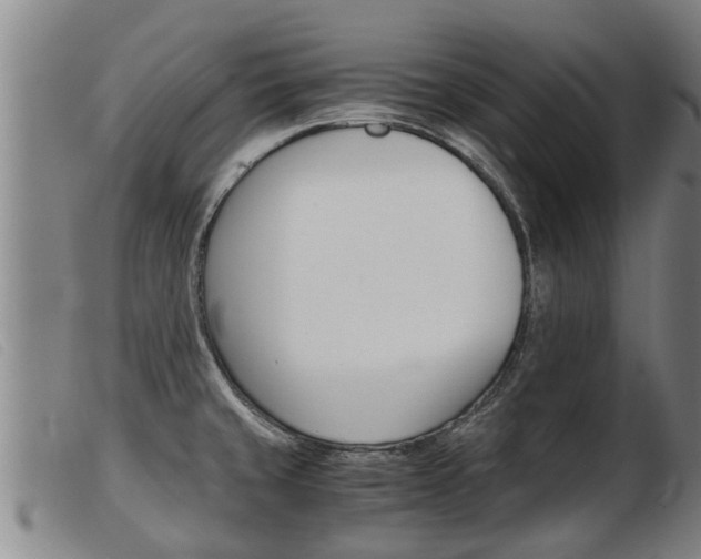 X0000103961429200809191324