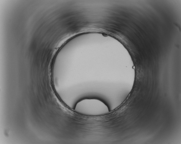 X0000103961430200809191324