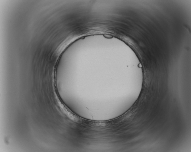 X0000103961431200809191324