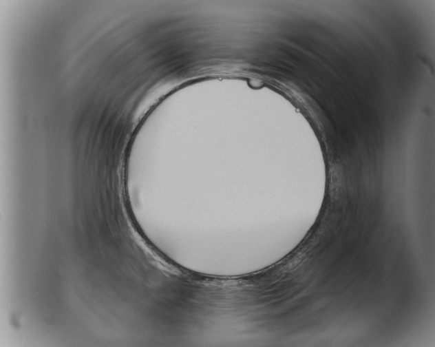 X0000103961432200809191324