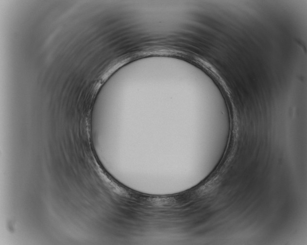 X0000103961433200809191324