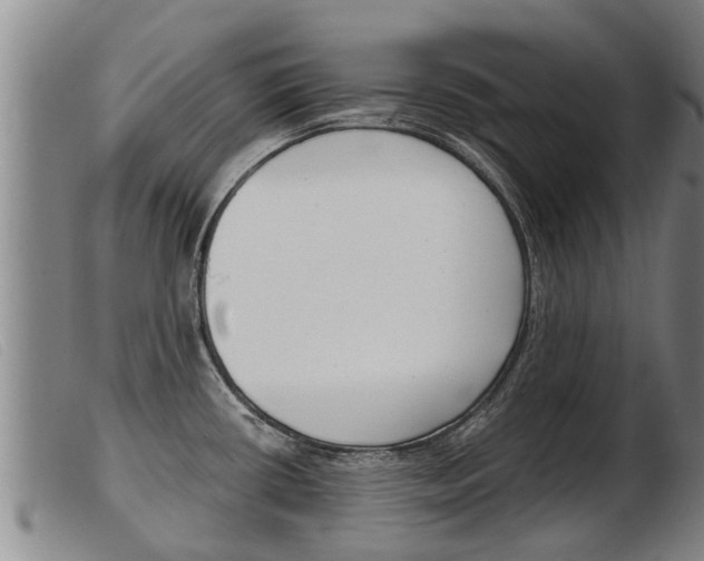 X0000103961434200809191324