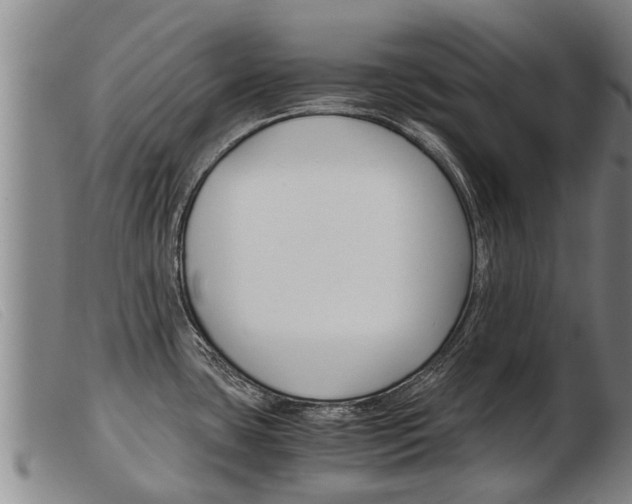 X0000103961435200809191324