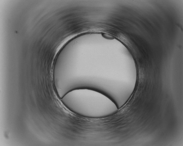 X0000103961436200809191324