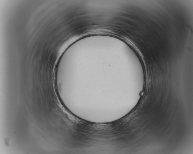 X0000103961437200809191324