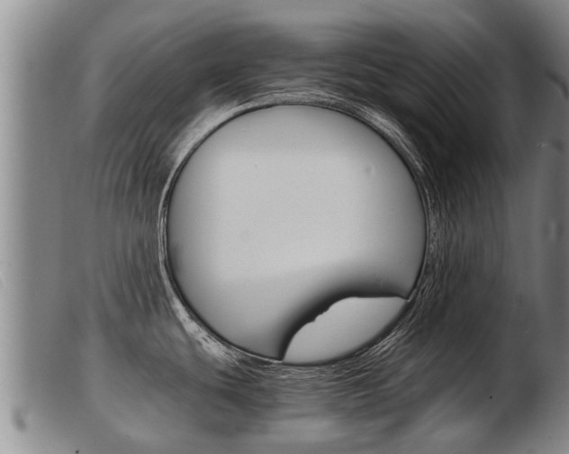 X0000103961439200809191324