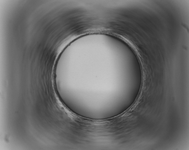 X0000103961440200809191324