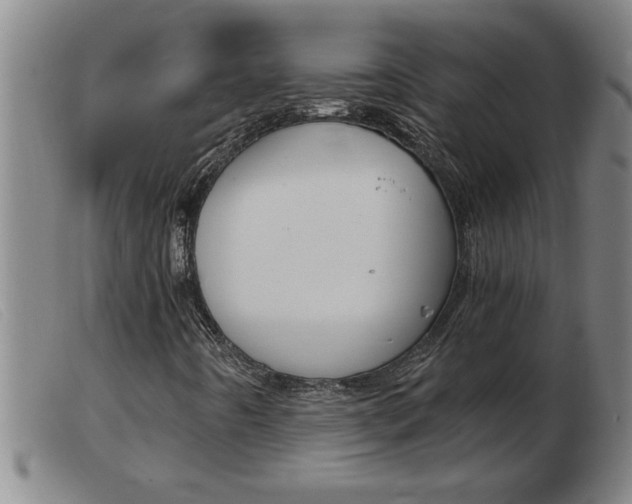 X0000103961442200809191324