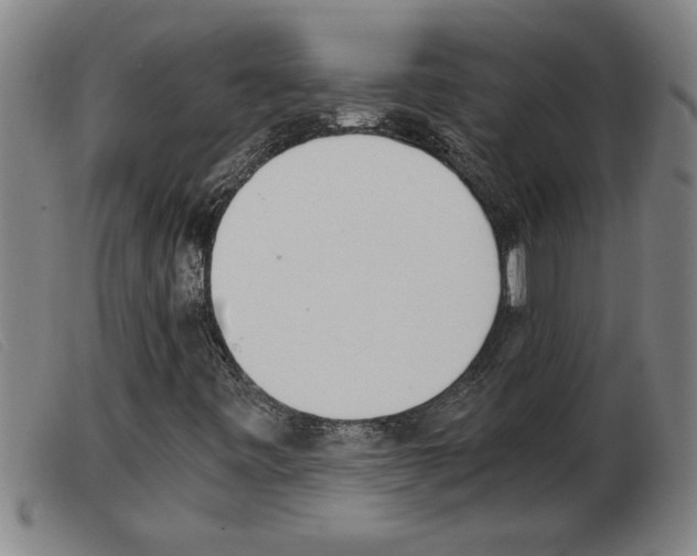 X0000103961443200809191324