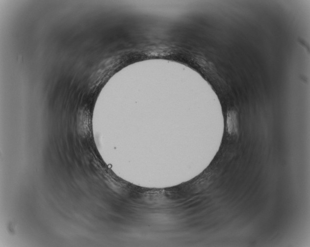 X0000103961444200809191323