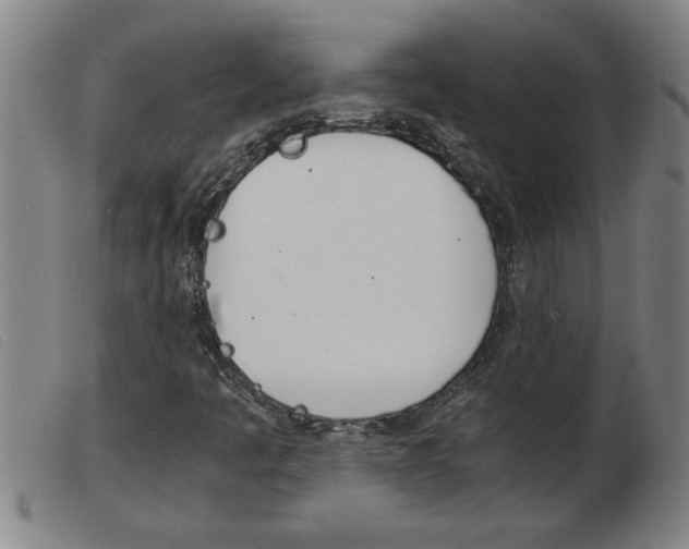X0000103961445200809191323