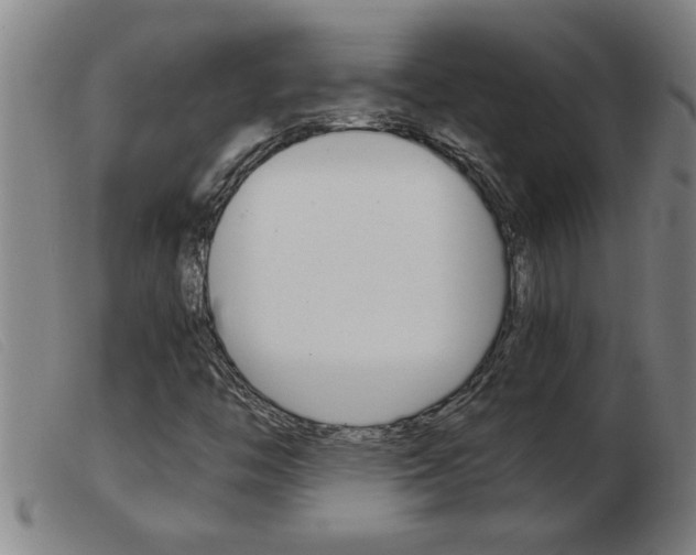 X0000103961446200809191323