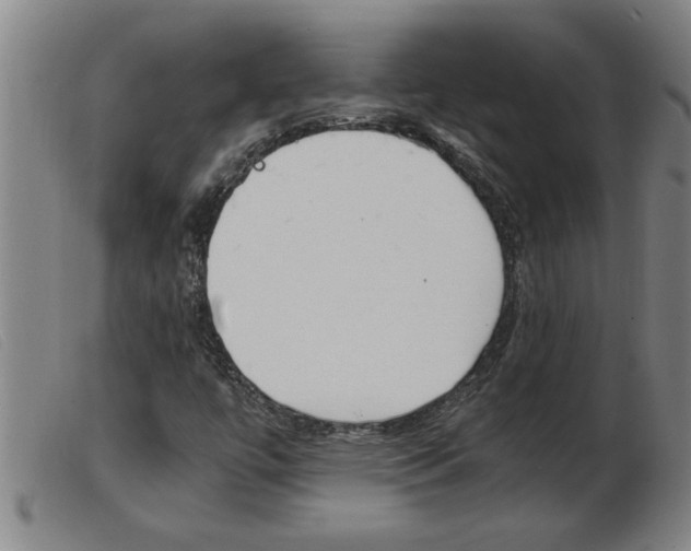 X0000103961447200809191323