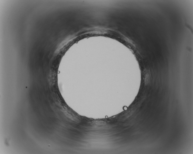 X0000103961448200809191323