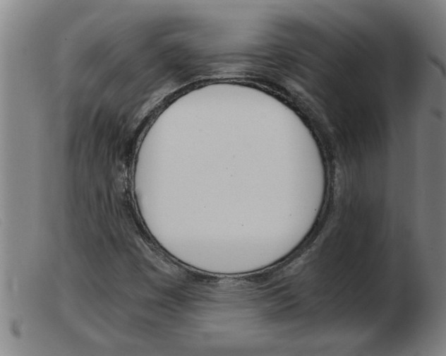 X0000103961449200809191323