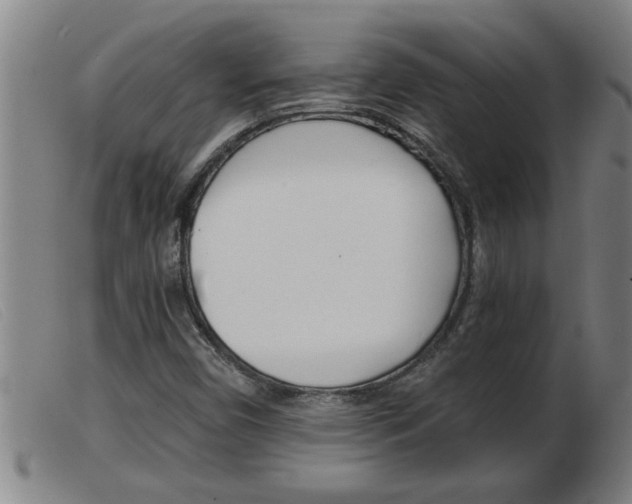 X0000103961450200809191323