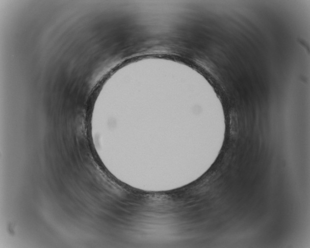 X0000103961452200809191323
