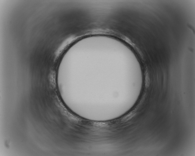 X0000103961454200809191323