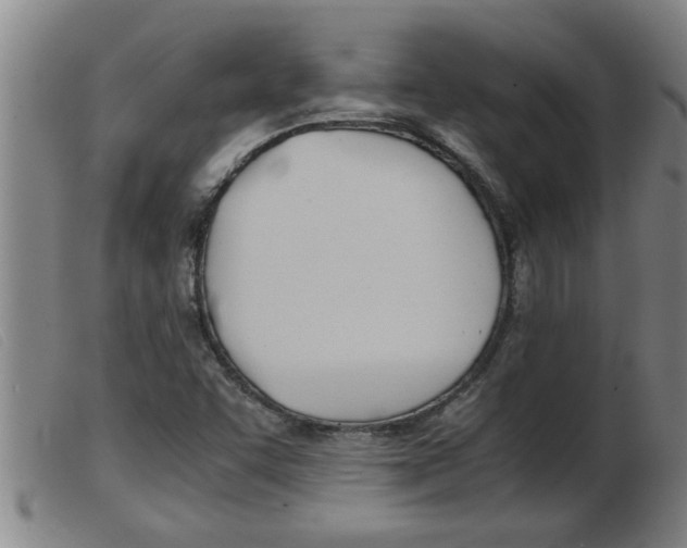 X0000103961455200809191323