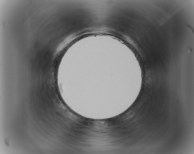 X0000103961456200809191323
