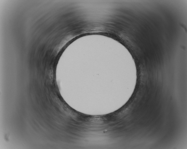 X0000103961457200809191323