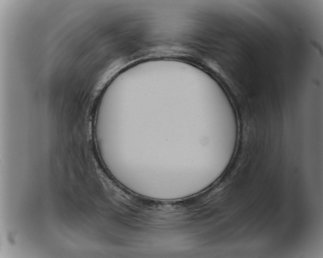 X0000103961459200809191323
