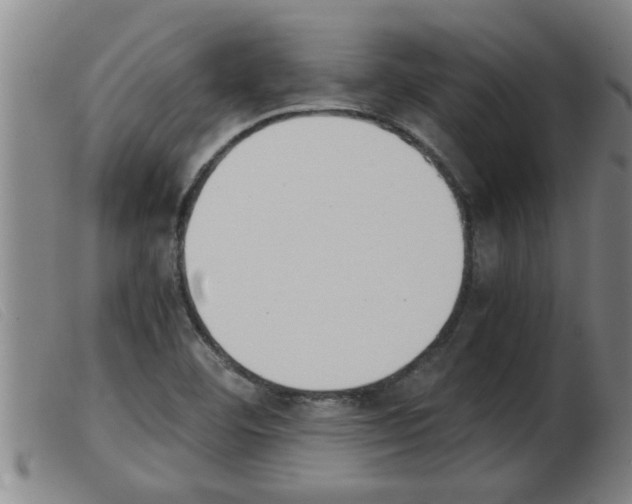 X0000103961460200809191323