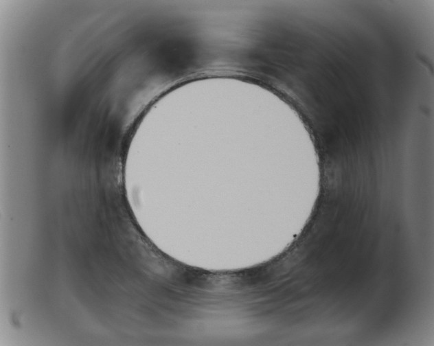 X0000103961461200809191323