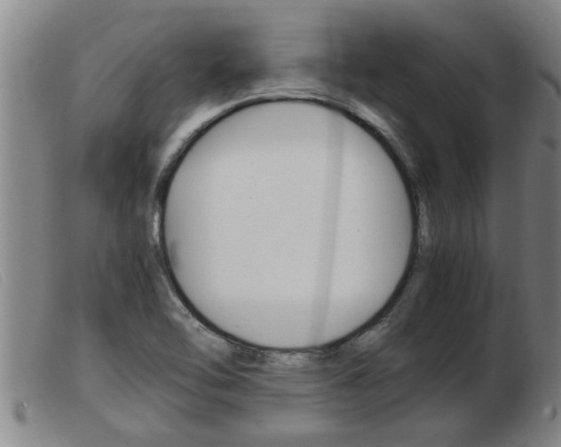 X0000103961462200809191323