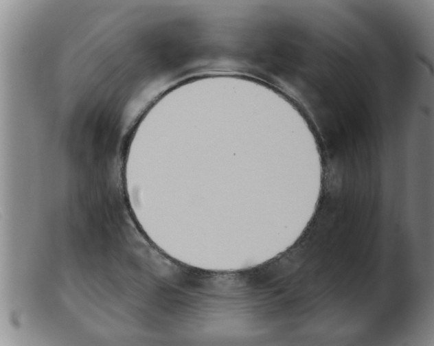 X0000103961464200809191323