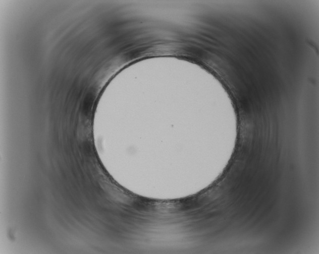 X0000103961465200809191323