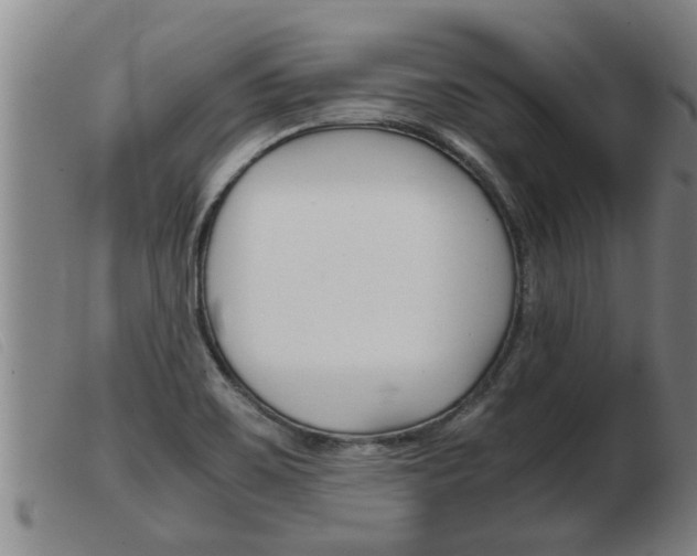 X0000103961467200809191323