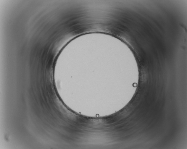 X0000103961468200809191323