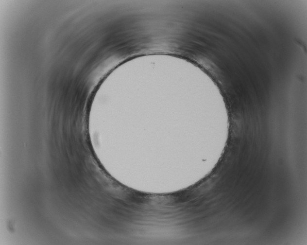 X0000103961469200809191323