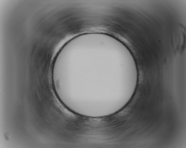 X0000103961470200809191323