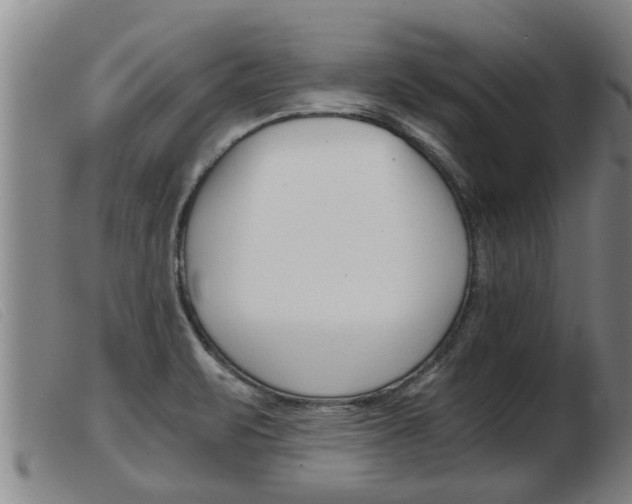 X0000103961471200809191323