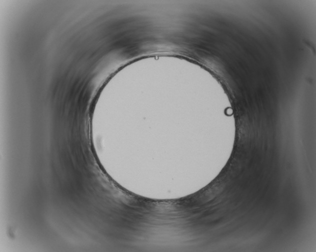 X0000103961472200809191323