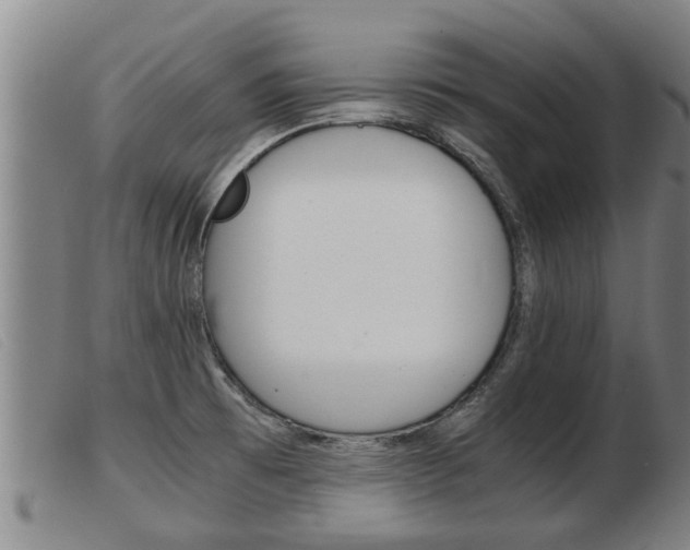 X0000103961473200809191323