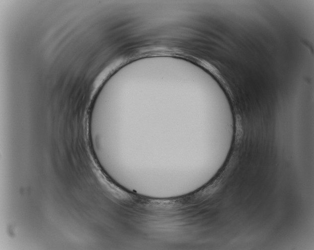 X0000103961474200809191323