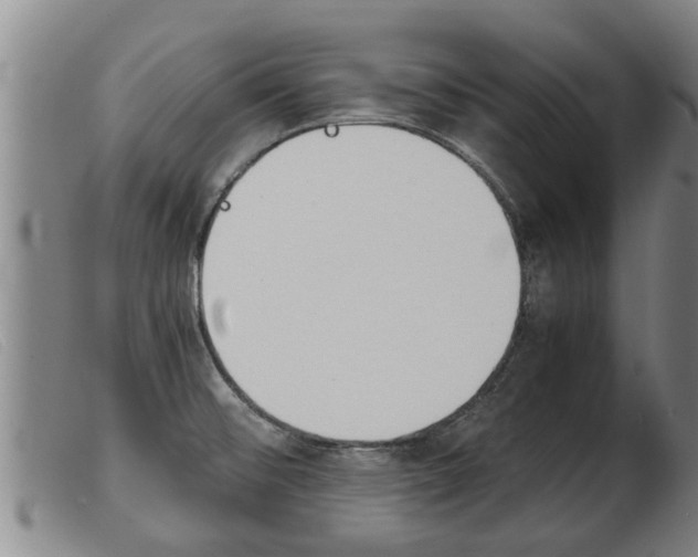 X0000103961476200809191323