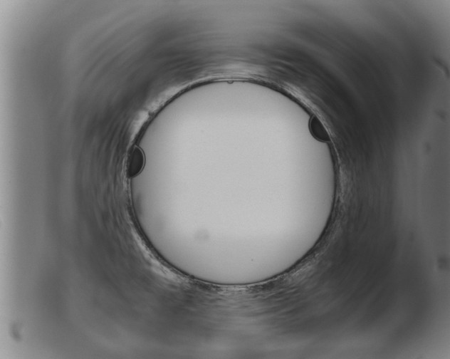 X0000103961477200809191323
