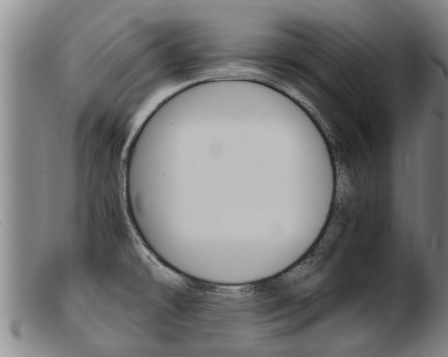 X0000103961478200809191323