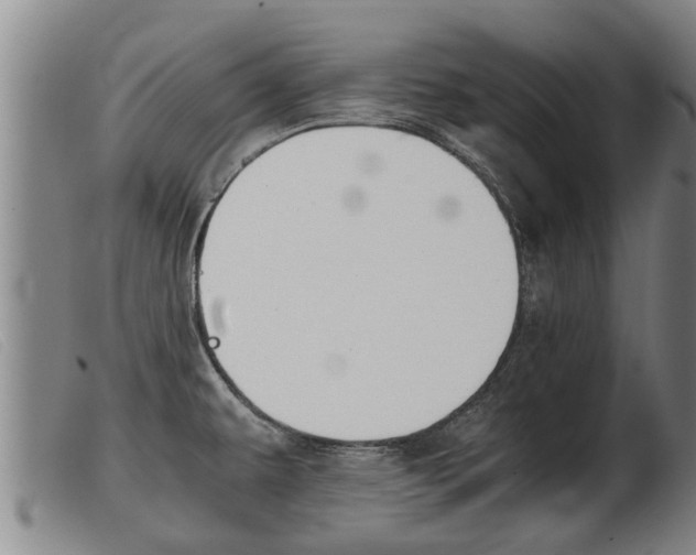X0000103961479200809191323