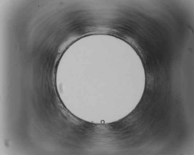 X0000103961480200809191323